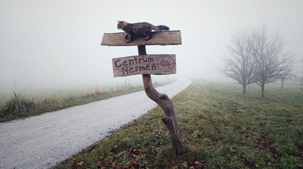 Vítáme vás v Centru Nesměň